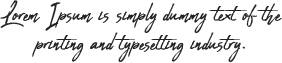 Setsail slogan